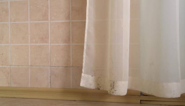 Best Black Mold Removal  in Norcross, GA