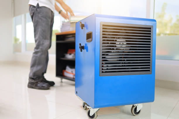 Reliable Norcross, GA Mold Removal Solutions