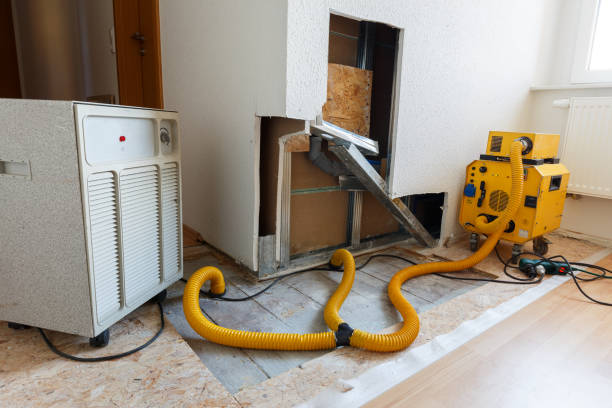 Mold Remediation for Vacation Homes in Norcross, GA