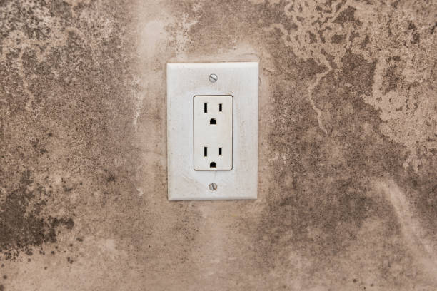 Best Mold Prevention Services  in Norcross, GA